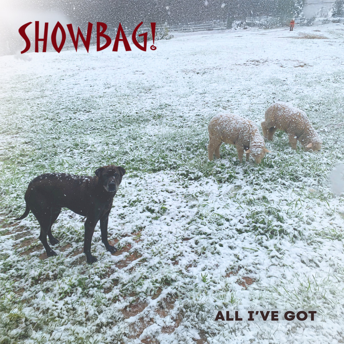 Single Review – Showbag!: All I’ve Got